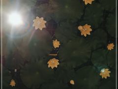 -福慧慈缘素食餐厅(王府井店)