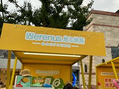 -维尔纳斯·生日蛋糕动物奶油冰淇淋蛋糕(人大店)