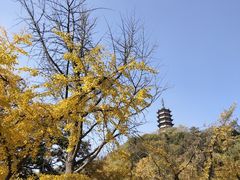 -焦山风景区