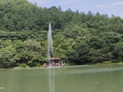 -广州白江湖森林公园