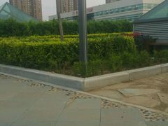 -中国医科大学附属盛京医院(南湖院区)