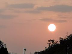 -板樟山森林公园