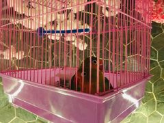 -蓝鲸湾汤泉(包河店)