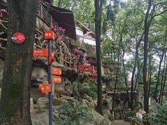 -巴倒烫陆派火锅山庄(南山总店)