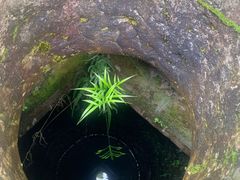 -兴福老面馆(寺路街店)