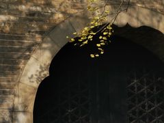 -灵谷景区