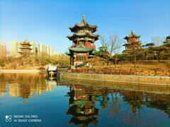 -迎泽公园