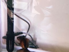 -清平路水族市场