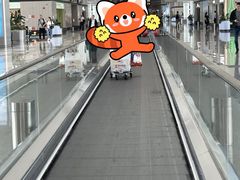-青岛胶东国际机场