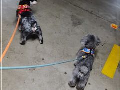 -龙美术馆西岸馆-停车场