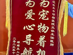-派美特宠物医院·核磁CT·骨科肿瘤·疑难转诊(沈农禾丰店)