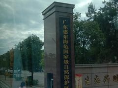 -广东惠东海龟国家级自然保护区