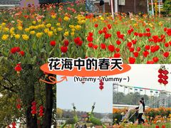 -三水森林公园