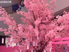 -棱石眼镜(CP静安店)