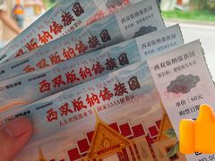 -西双版纳傣族园