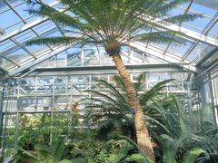 -国家植物园南园