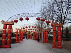 -沈阳奥体冰雪嘉年华