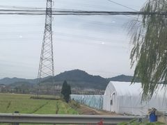 -李东农庄(中南百草园地标店)
