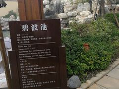 -仁爱团泊湖温泉中心