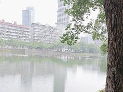 -宝岛公园