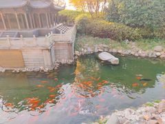 -岳阳楼景区