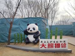 -秦皇岛野生动物园