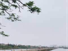 -安平桥