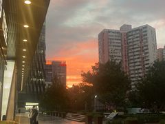 -远洋未来汇