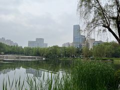 -后襄河公园