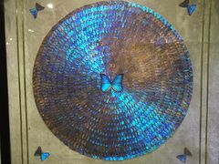 -上海昆虫博物馆