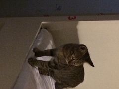 夫子庙国际青年旅社-南京夫子庙国际青年旅舍(平江府路店)