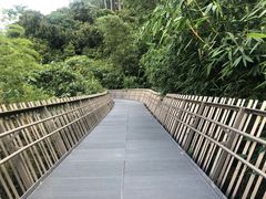 -福道