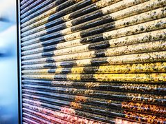 -星巴克(深圳湾体育中心店)