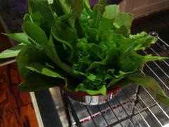 -陈阿婆重庆绿色鱼火锅