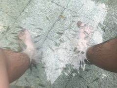 -碧水湾温泉