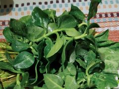 慢丽江菜园子-慢丽江·云南野生菌土鸡锅(付家庄店)
