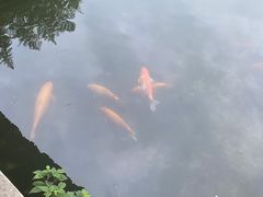 -杭州植物园
