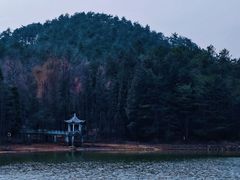 -四明山国家森林公园