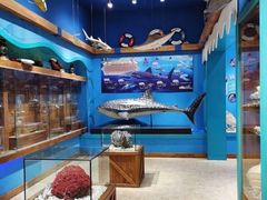 -多彩贵州城极地海洋世界