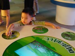 -陕西自然博物馆