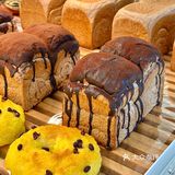 天津新店！好吃的面包店又+1+1+1…🍞🥯🥖
