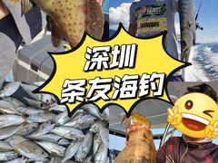 -东山码头