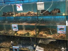 水产区-范饭椰林川湘味海鲜·椰子鸡(三亚湾椰梦长廊店)