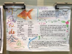 -力力豆花庄(广渠门店)