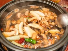 -滇野云南野生菌餐厅(陕西南路店)