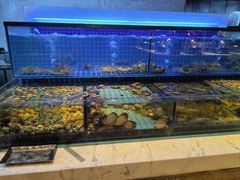 -冀粤香海鲜自助餐厅(西美五洲店)