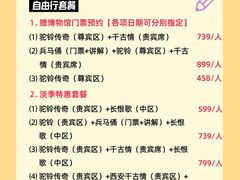 -《驼铃传奇》秀