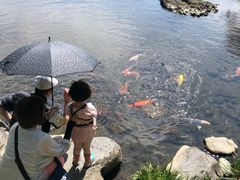 -水前寺成趣园