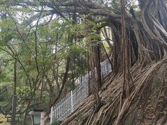 -乌山风景区
