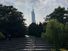 -紫峰大厦